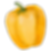 イエローペッパー