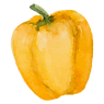 Yellow Pepper