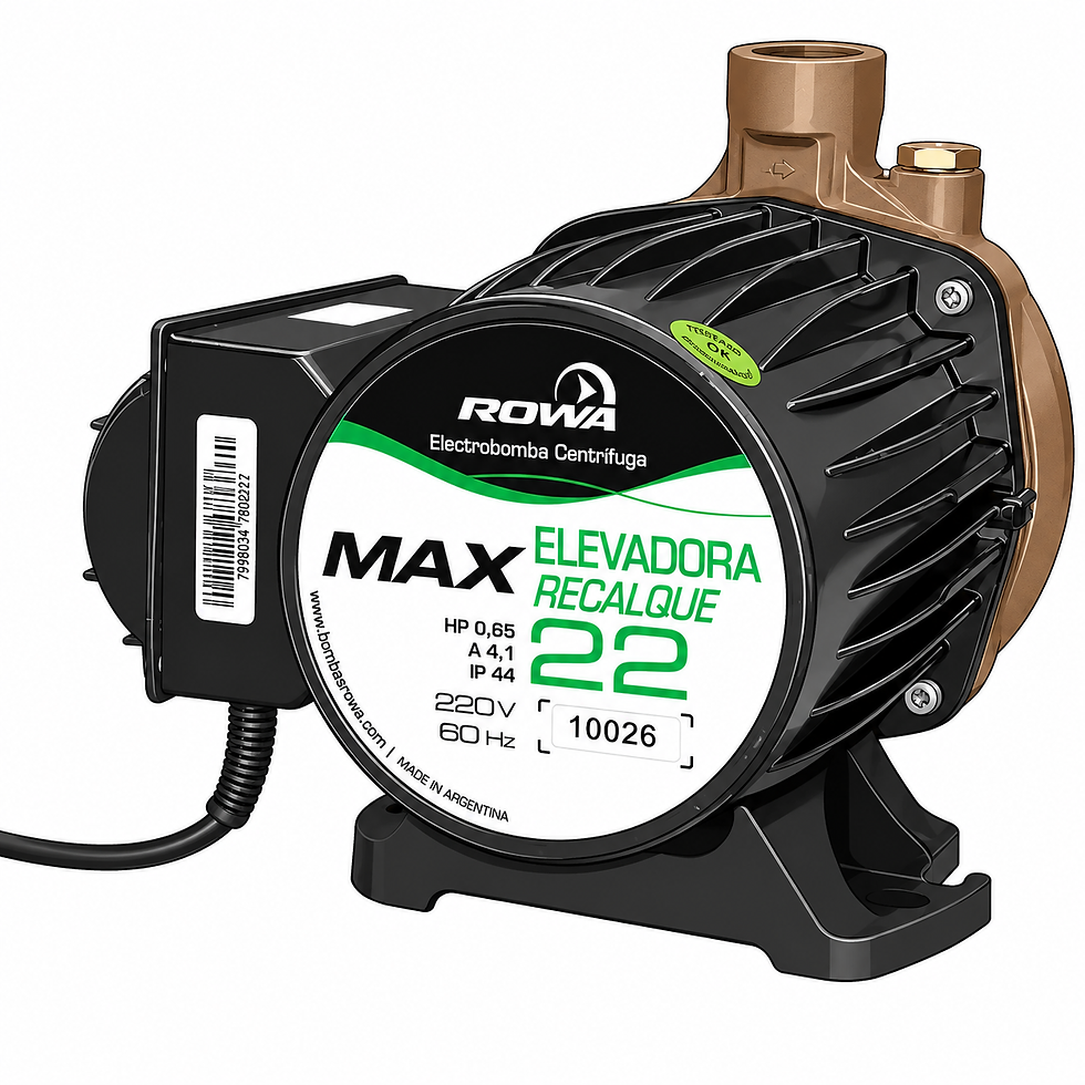 1028015_pressurizador_rowasfl_sfl20_monofasica_220v_z1_63631742549854400kk0.jpg