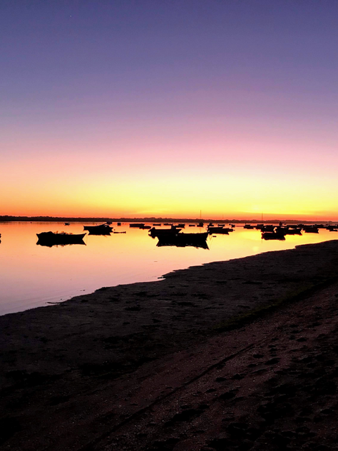 Descubre El Rompido: Un Paraíso en la Costa de la Luz