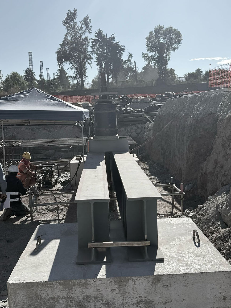 WhatsApp Image 2025-04-22 at 4.40.48 PM (7)