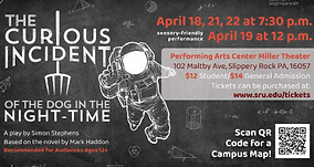 Curious Poster (1).png