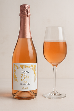 ChatGPT Image Aug 22, 2025, 08_04_14 AM.png