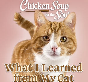 CSS Book Cover Image_edited_edited.jpg