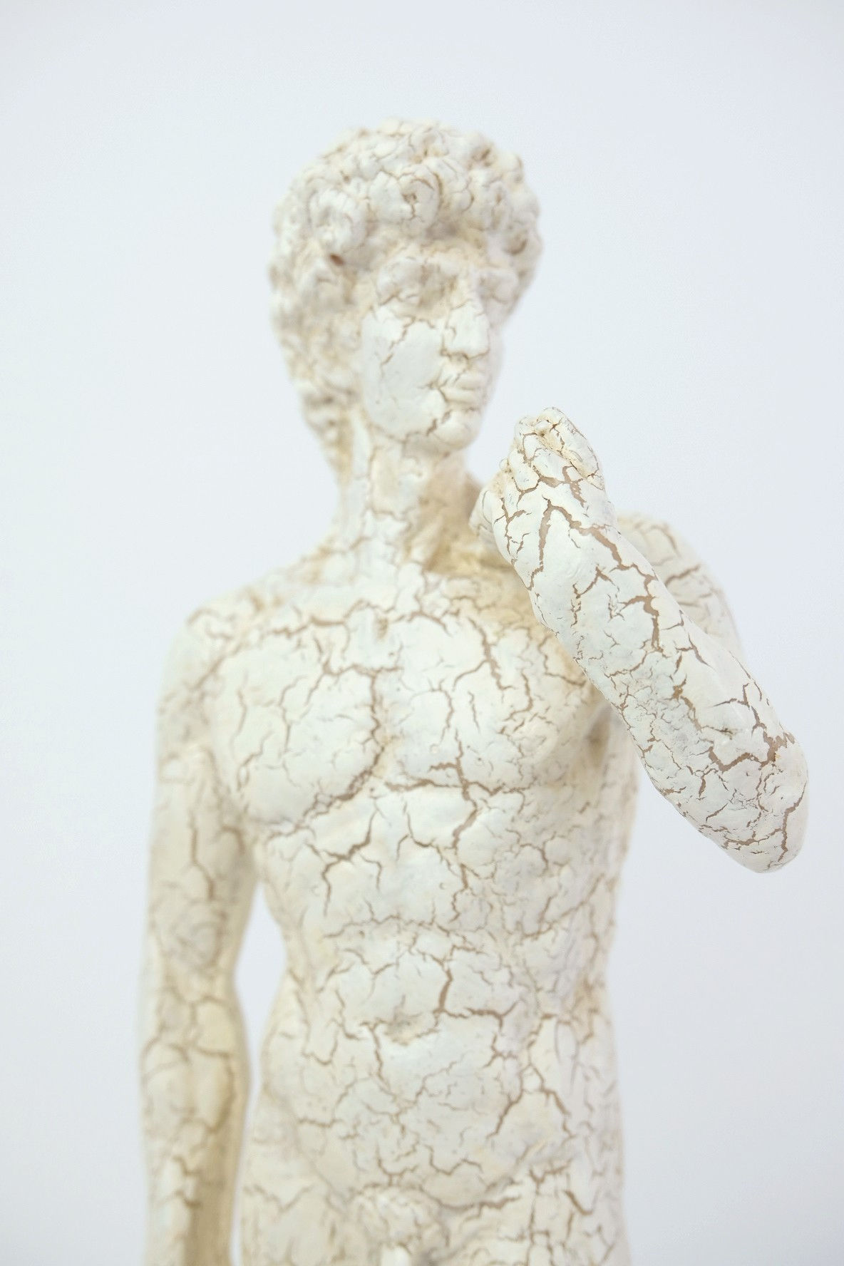 Rustic Michelangelo's  David