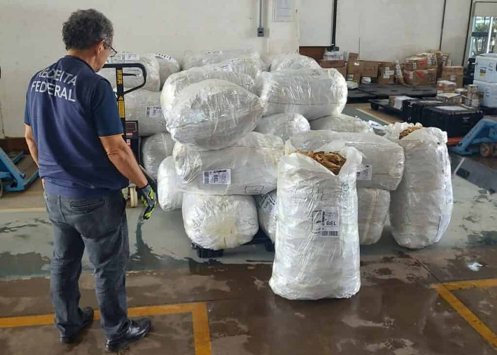 Apreensão de Bexiga Natatória: Receita Federal Confisca 1 Tonelada de Mercadoria Ilegal no Aeroporto de São Luís