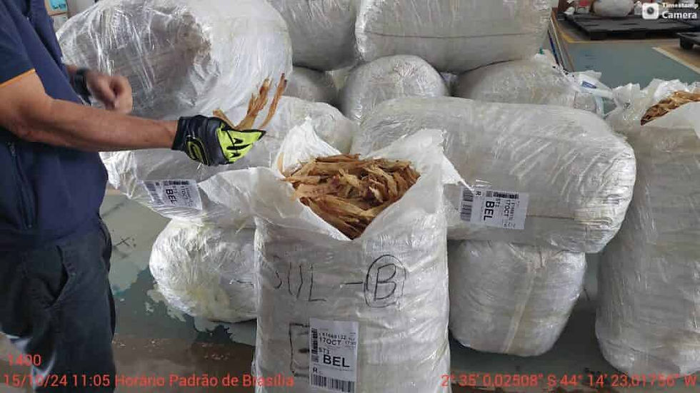 Apreensão de Bexiga Natatória: Receita Federal Confisca 1 Tonelada de Mercadoria Ilegal no Aeroporto de São Luís