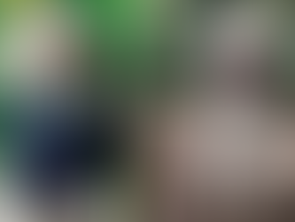 Cachorro Eletrocutado em São Paulo: Tragédia Exige Melhorias na Segurança Elétrica