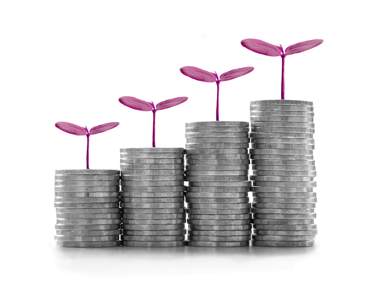 Money-Stack-with-seedling.gif
