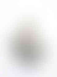 Self Portrait as a Plant 