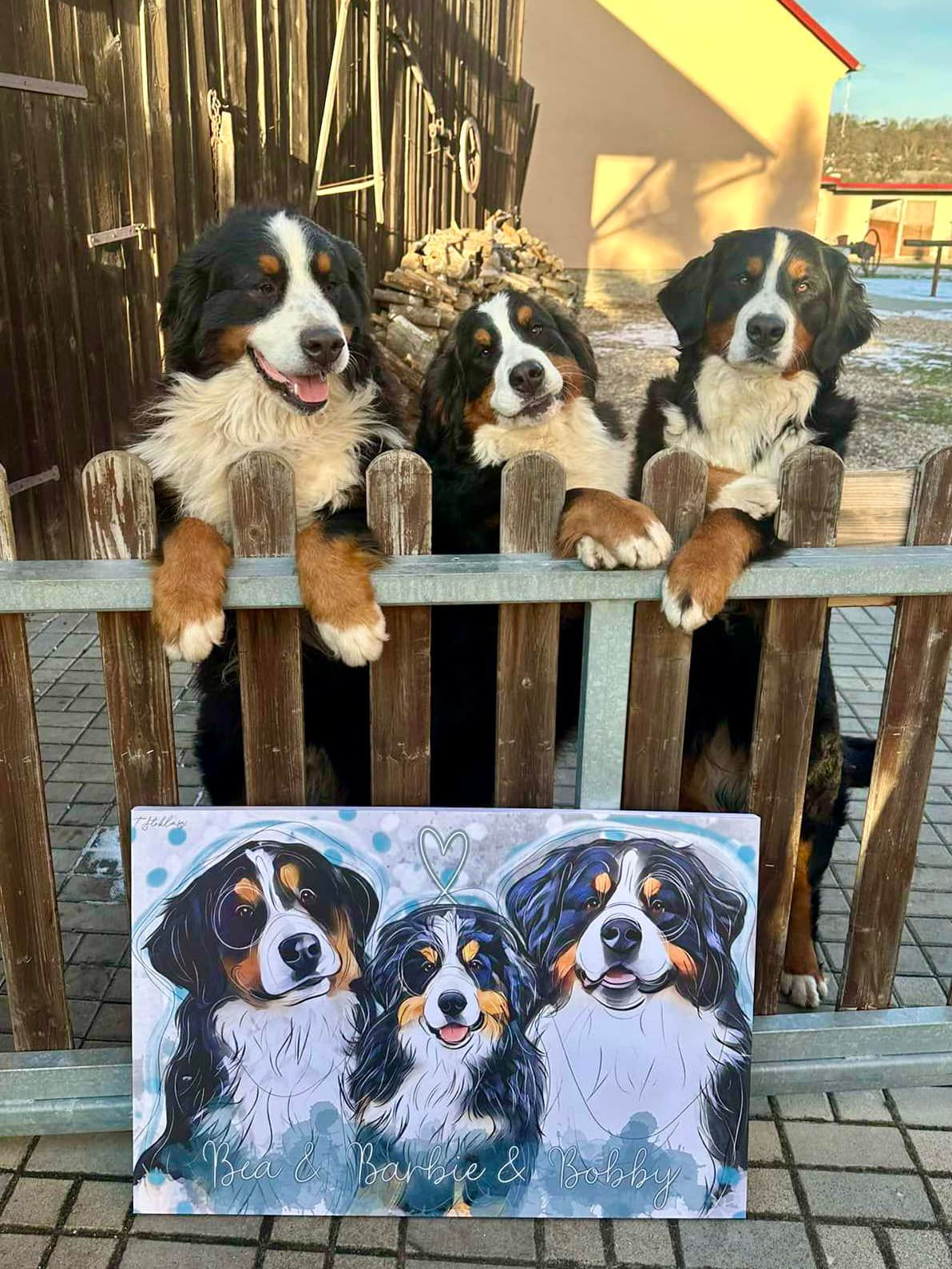 Obraz rozlišení 3:2