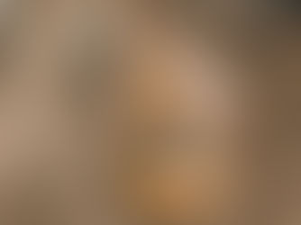 Cost Efficiency in Advanced Dirt Work Solutions - Mudrock Land Development