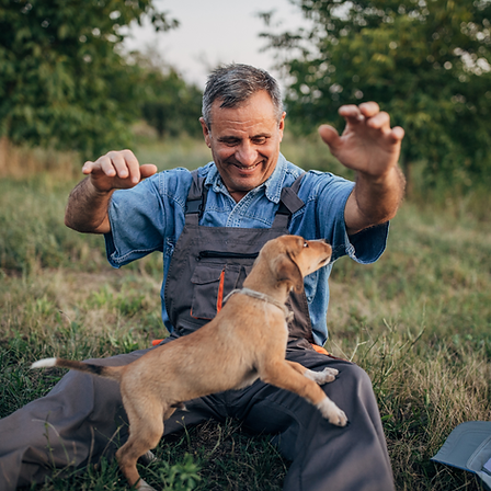 Man in blue shirt playing with brown puppy on grassy field, smiling. Green foliage in background, creating a joyful outdoor scene.