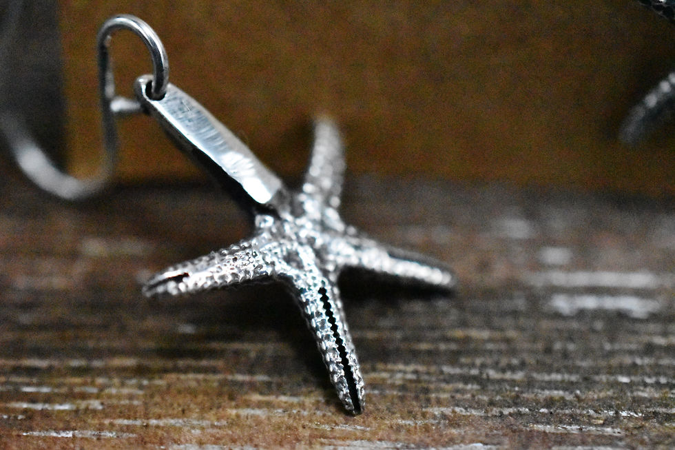 Thumbnail: Starfish Earring Set
