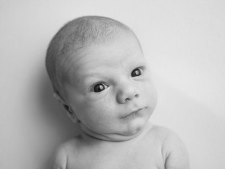 studio newborn photography Doylestown PA, Bucks County newborn portrait studio, Villanova newborn photography