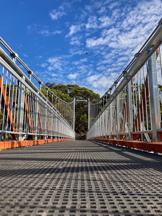 Cable Suspended Bridge