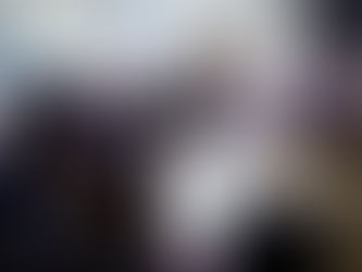 Urgencia a proyectos contra robo de mascotas y zoofilia: Ministro Elizalde anuncia activación de agenda legislativa animalista