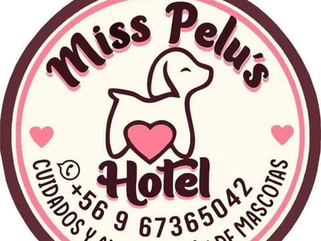 Hotel Canino Miss Pelus, Antofagasta
