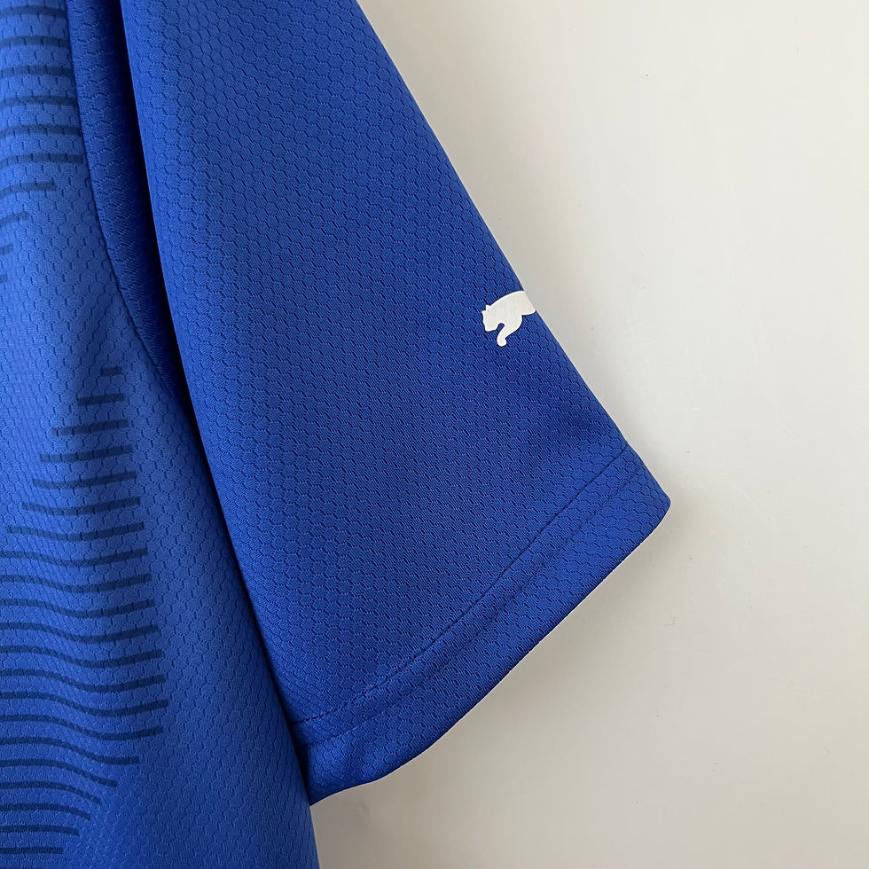 Miniatura: Palmeiras Edição Especial 23/24