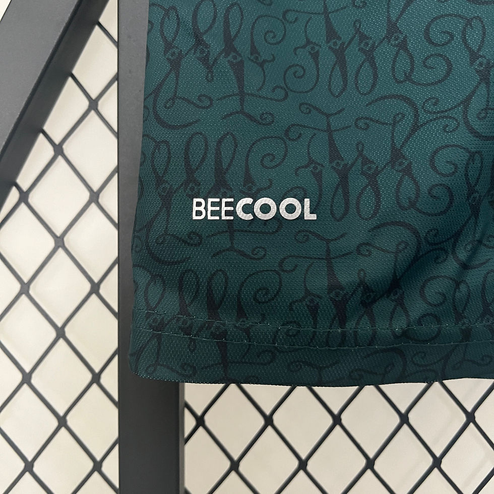 Miniatura: Werder Bremen Edição Especial 24/25