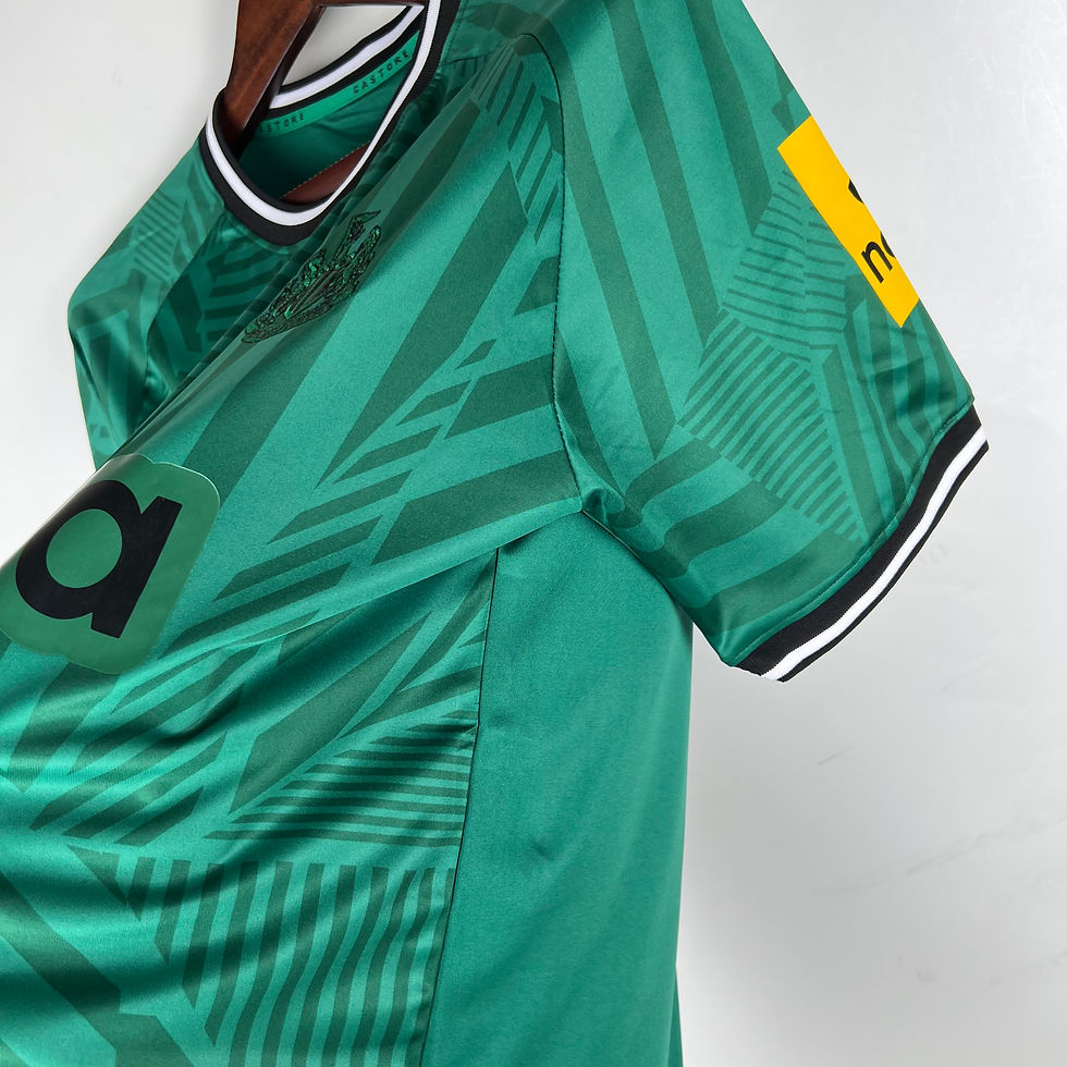 Miniatura: Alternativa de Newcastle 23/24