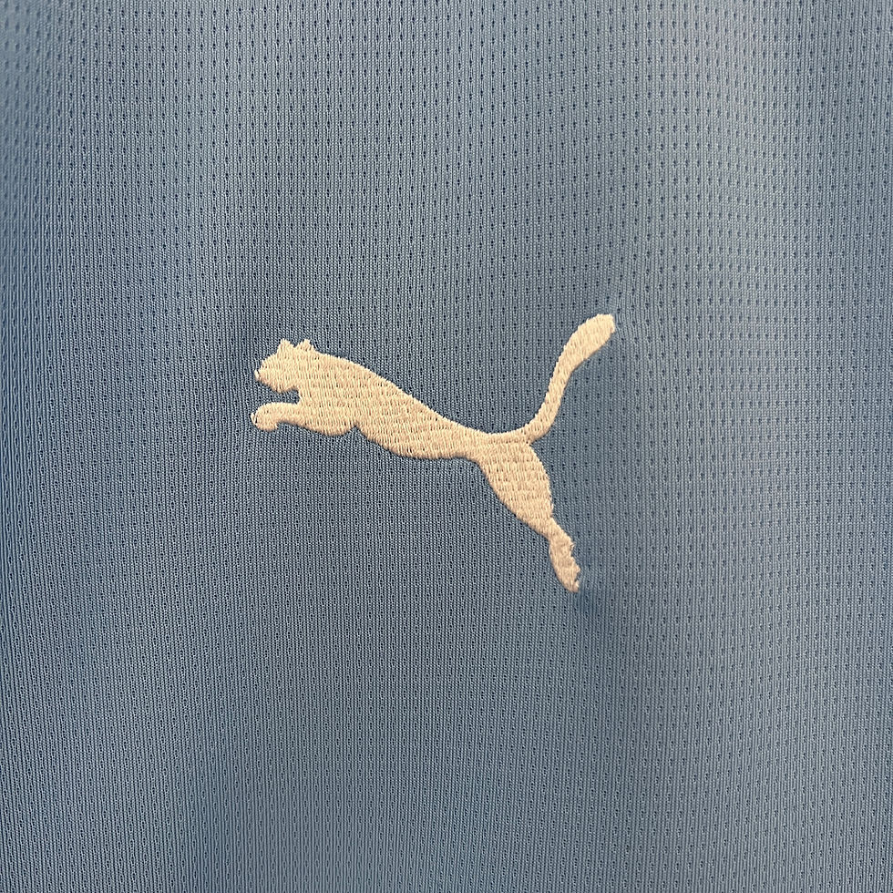 Miniatura: Manchester City Principal 24/25