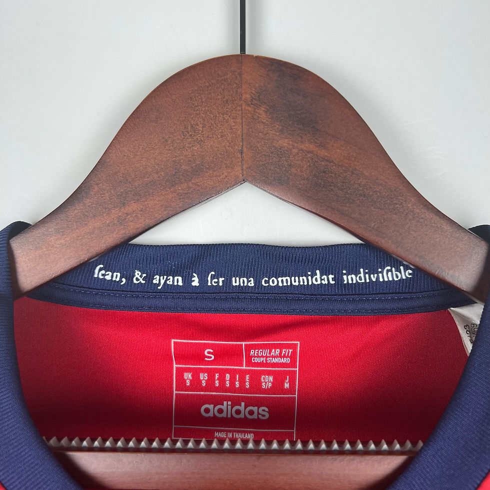 Miniatura: Osasuna Principal 23/24