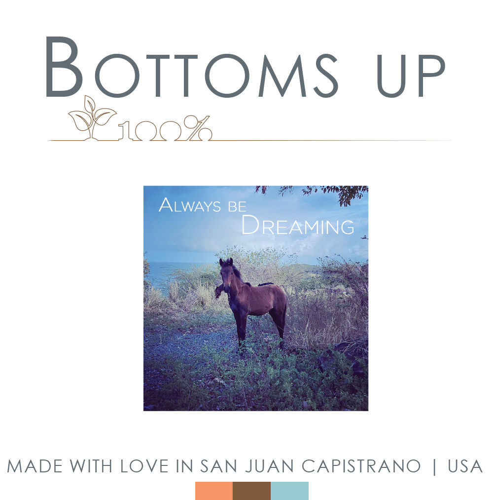 100 Bottoms Up Onesie Always Be Dreaming Gift Box