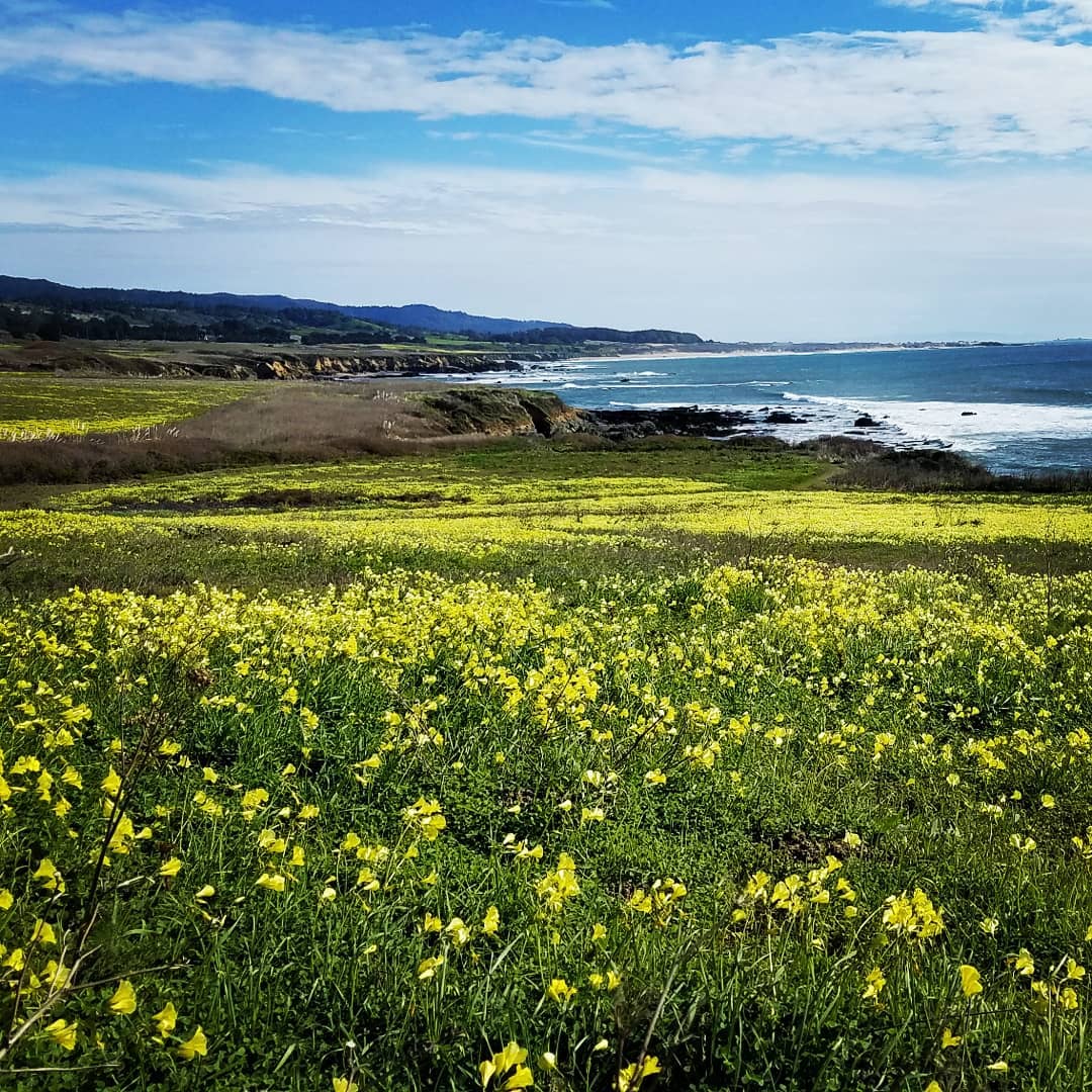 sierra_honey_farm_27576311_1751945665899