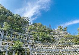 法面処理された場所