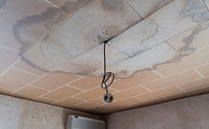 AdobeStock_358720069.jpeg