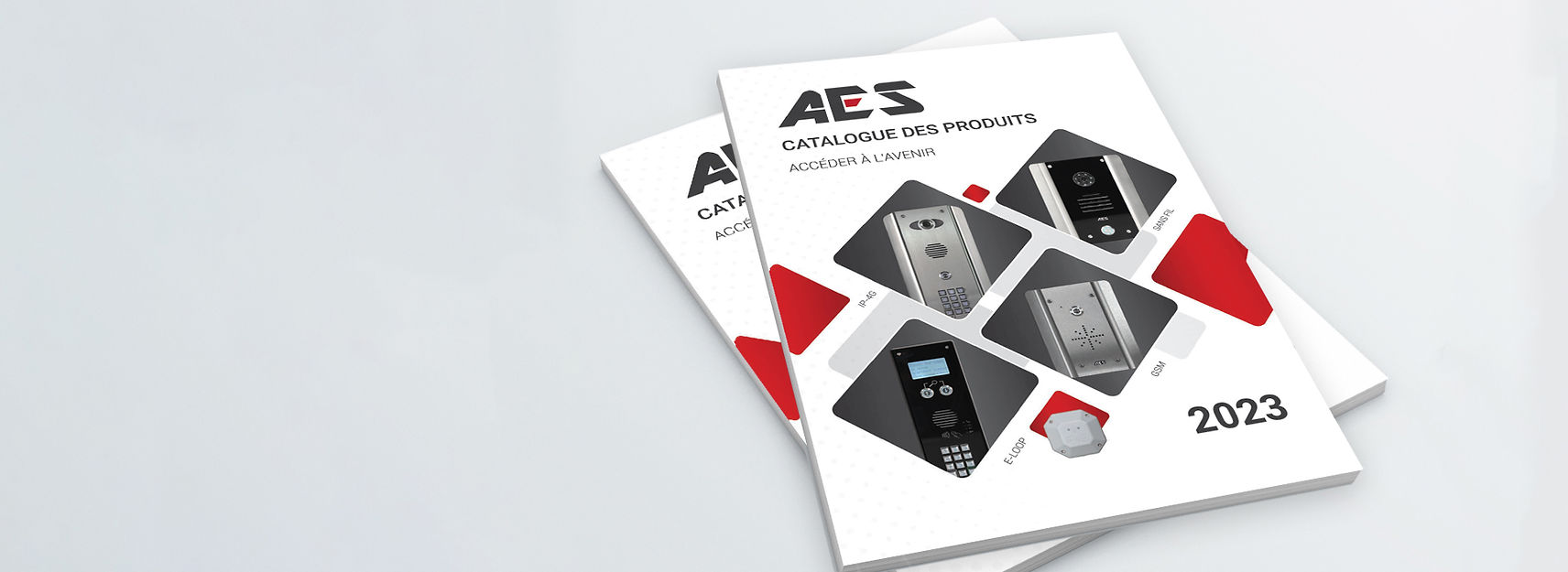 Accueil AES Global France