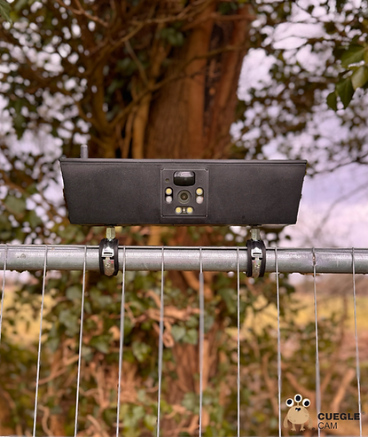 Front view mounted.png
