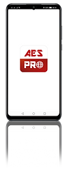 PRO 1.png
