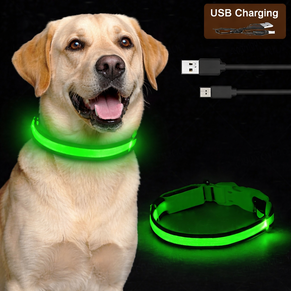 Thumbnail: LED Dog Collar – USB Rechargeable with 3 Light Modes