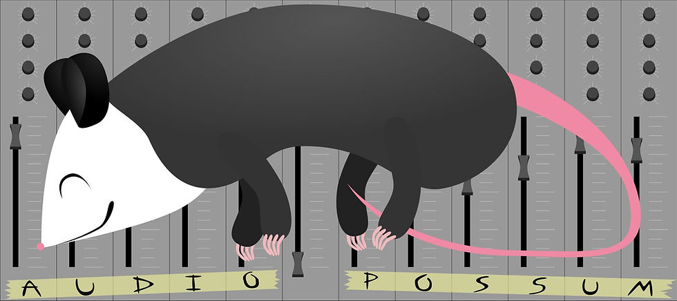 logo-audiopossum.jpg