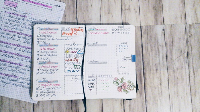✒️Dailies