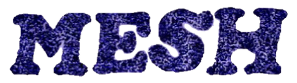 mesh logo.png