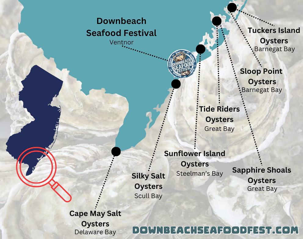 Oyster for site.png