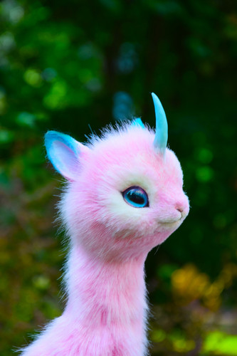 Lama