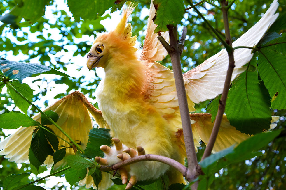 Thumbnail: Thunderbird