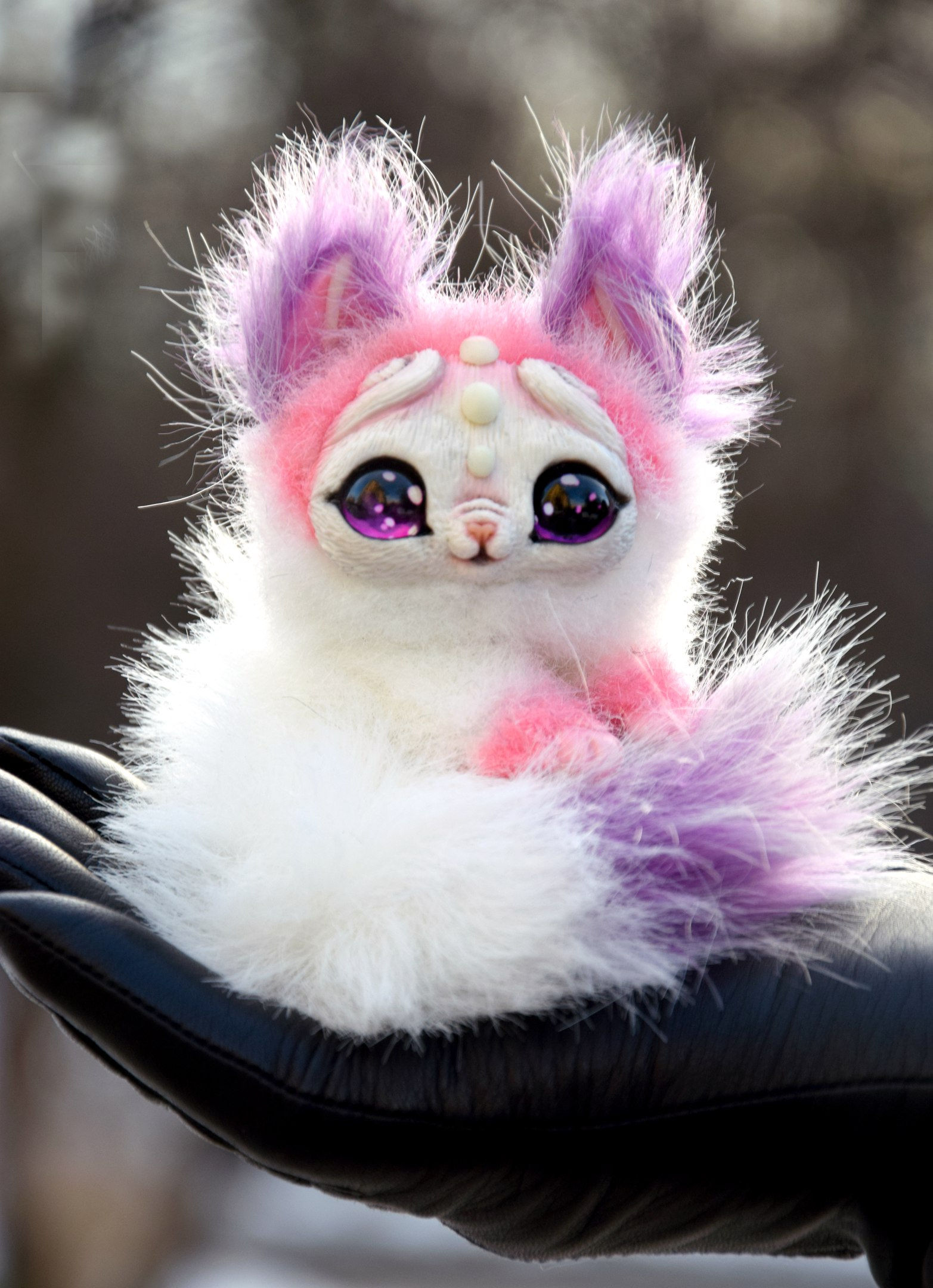 Small Valentine's Kitten