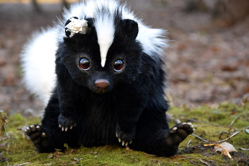 Skunk | Gakman Creatures