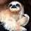 Thumbnail: Small Sloth