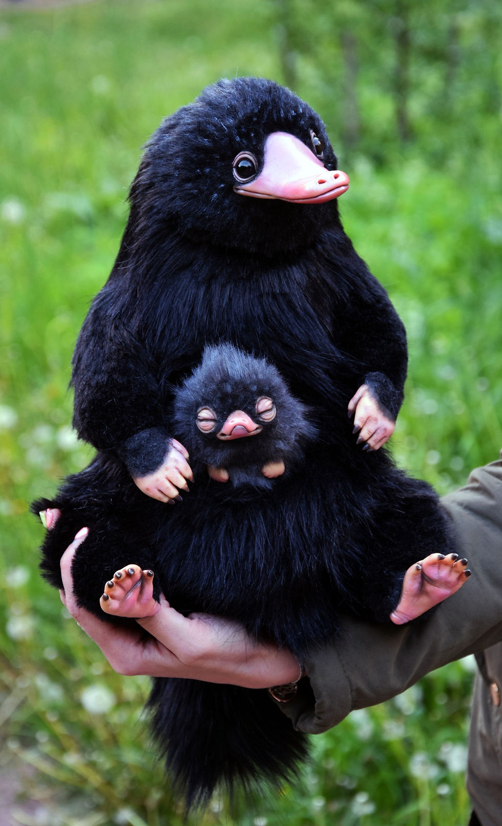 Thumbnail: Tiny Sleeping Niffler