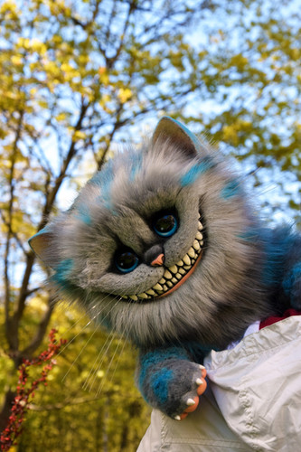 Cheshire Cat | Gakman Creatures