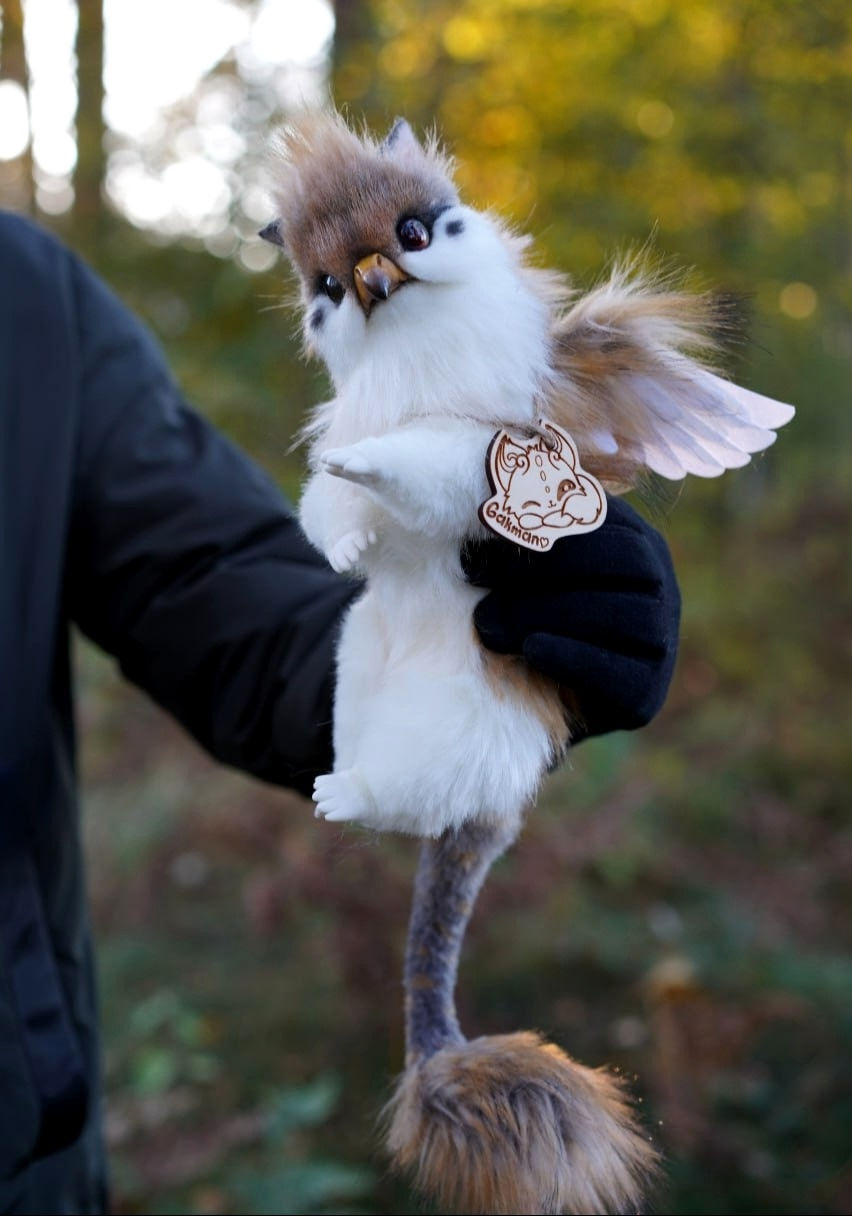 Thumbnail: Sparrow Griffin