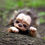 Thumbnail: Tiny Werewolf