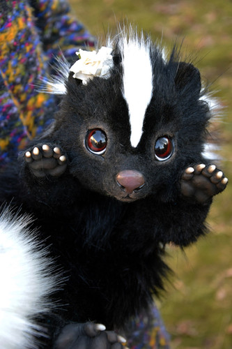 Skunk | Gakman Creatures