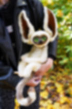 Thumbnail: Momo